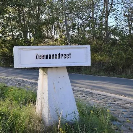 Navita Oostduinkerke 코크시데